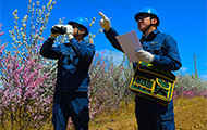 蒙东赤峰敖汉旗供电：保节日线路稳定