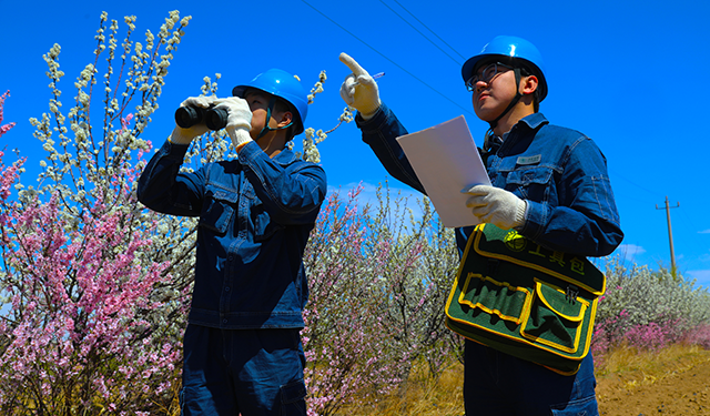 农村电气化信息网讯：（通讯员　张振远 摄影）4月29日蒙东赤峰敖汉旗供电公司周旭、刘双旭正在巡视10千伏园区线29号杆确保节日期间线路稳定运行。