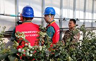 国网敖汉旗供电公司：服务大棚种植企业冬季用电设备安全