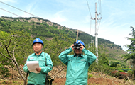 枣庄山亭供电：巡视除隐患 节日保供电