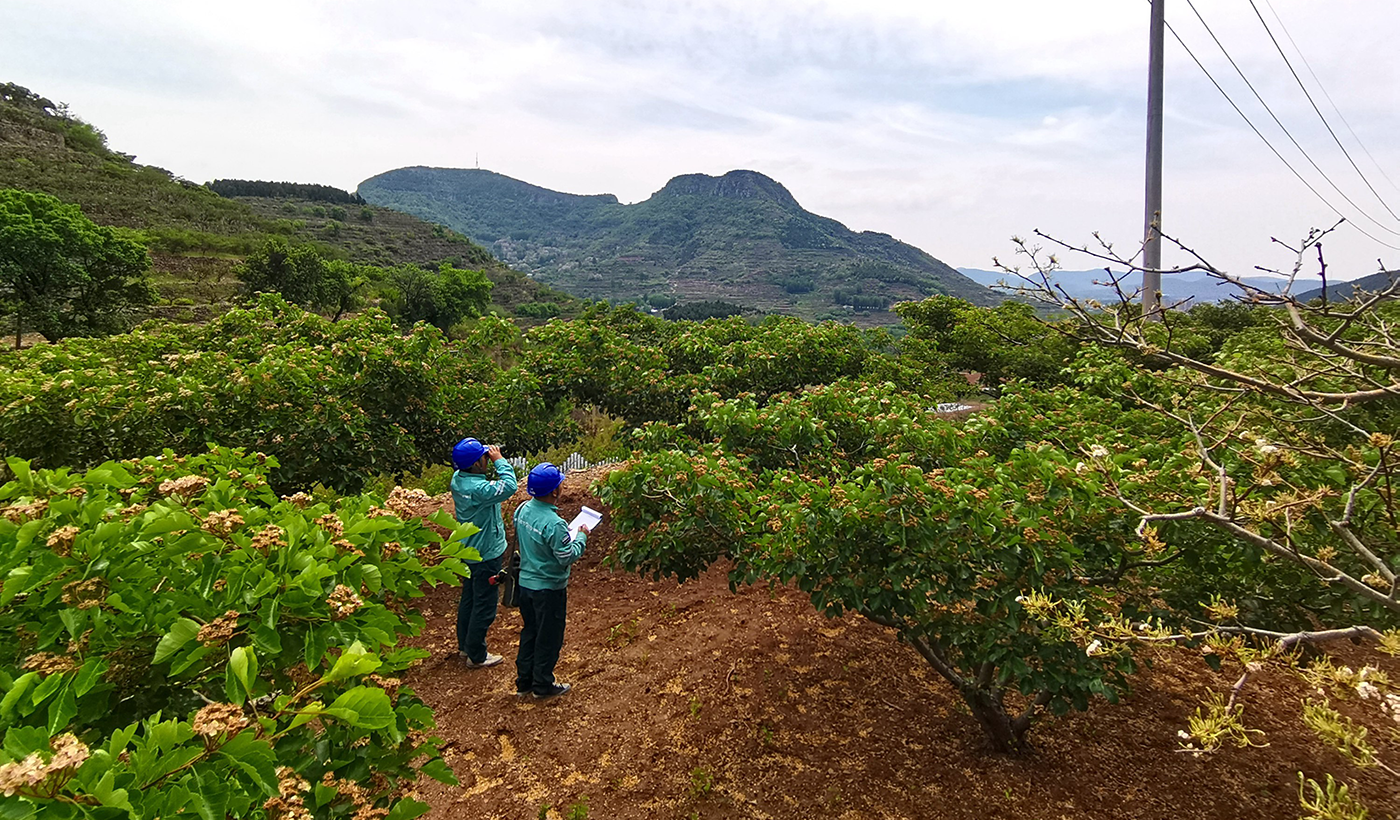 农村电气化信息网讯：（通讯员 于绍迎）4月29日，枣庄供电公司山亭供电中心工作人员在对跨越乡镇的10千伏联网供电线路进行节前巡视，及时发现并消除安全隐患，保障农村电网稳运稳供，满足节日期间农村旅游景点用电需求。