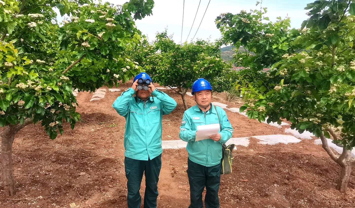 农村电气化信息网讯：（通讯员 于绍迎）4月29日，枣庄供电公司山亭供电中心工作人员在对跨越乡镇的10千伏联网供电线路进行节前巡视，及时发现并消除安全隐患，保障农村电网稳运稳供，满足节日期间农村旅游景点用电需求。