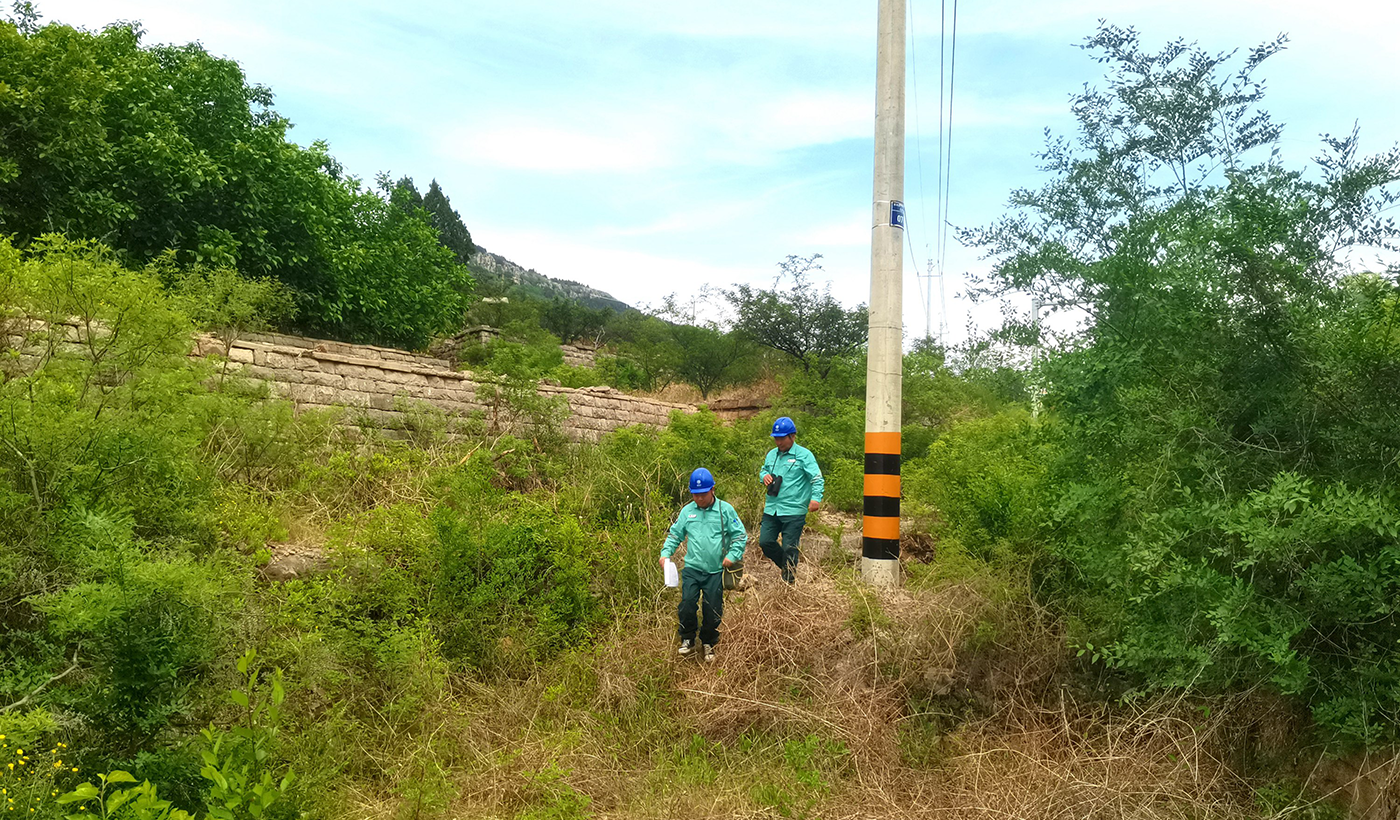 农村电气化信息网讯：（通讯员 于绍迎）4月29日，枣庄供电公司山亭供电中心工作人员在对跨越乡镇的10千伏联网供电线路进行节前巡视，及时发现并消除安全隐患，保障农村电网稳运稳供，满足节日期间农村旅游景点用电需求。