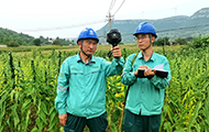 枣庄山亭供电：助力果农增产增收